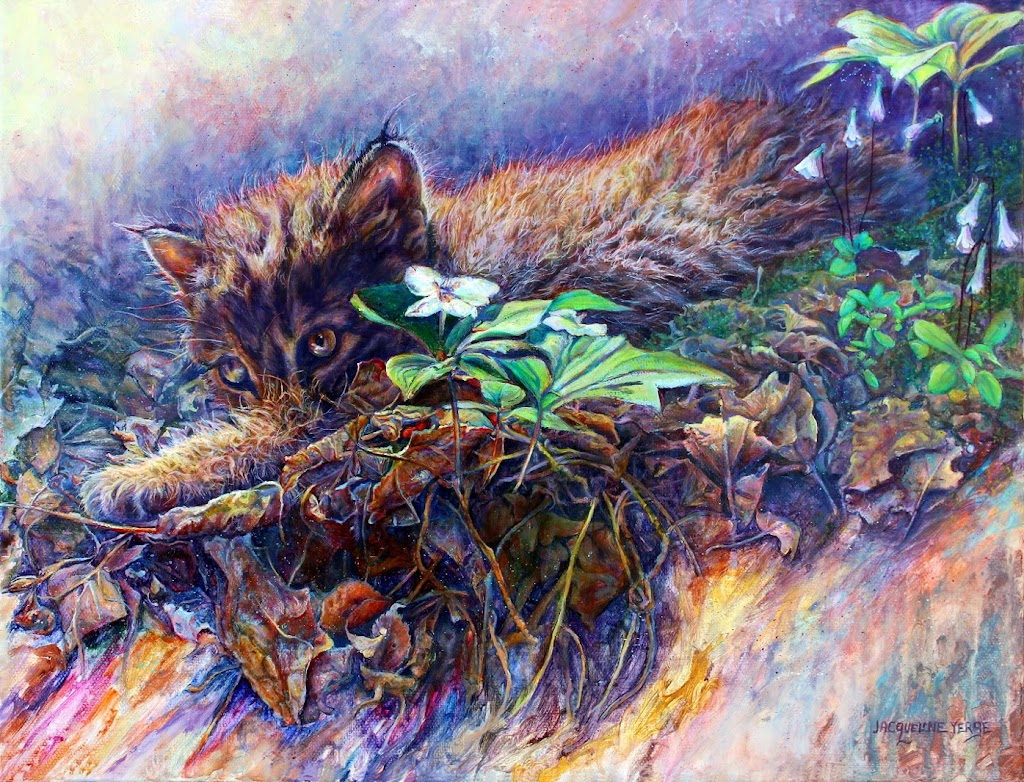 Fishermans Cove Gallery | 10 Government Wharf Rd, Eastern Passage, NS B3G 1M7, Canada | Phone: (902) 465-3781