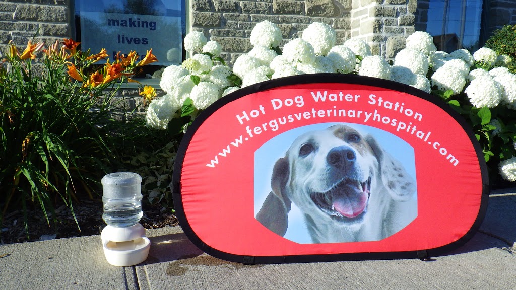 Fergus Veterinary Hospital | 100 McQueen Blvd #3, Fergus, ON N1M 3T8, Canada | Phone: (519) 787-2000