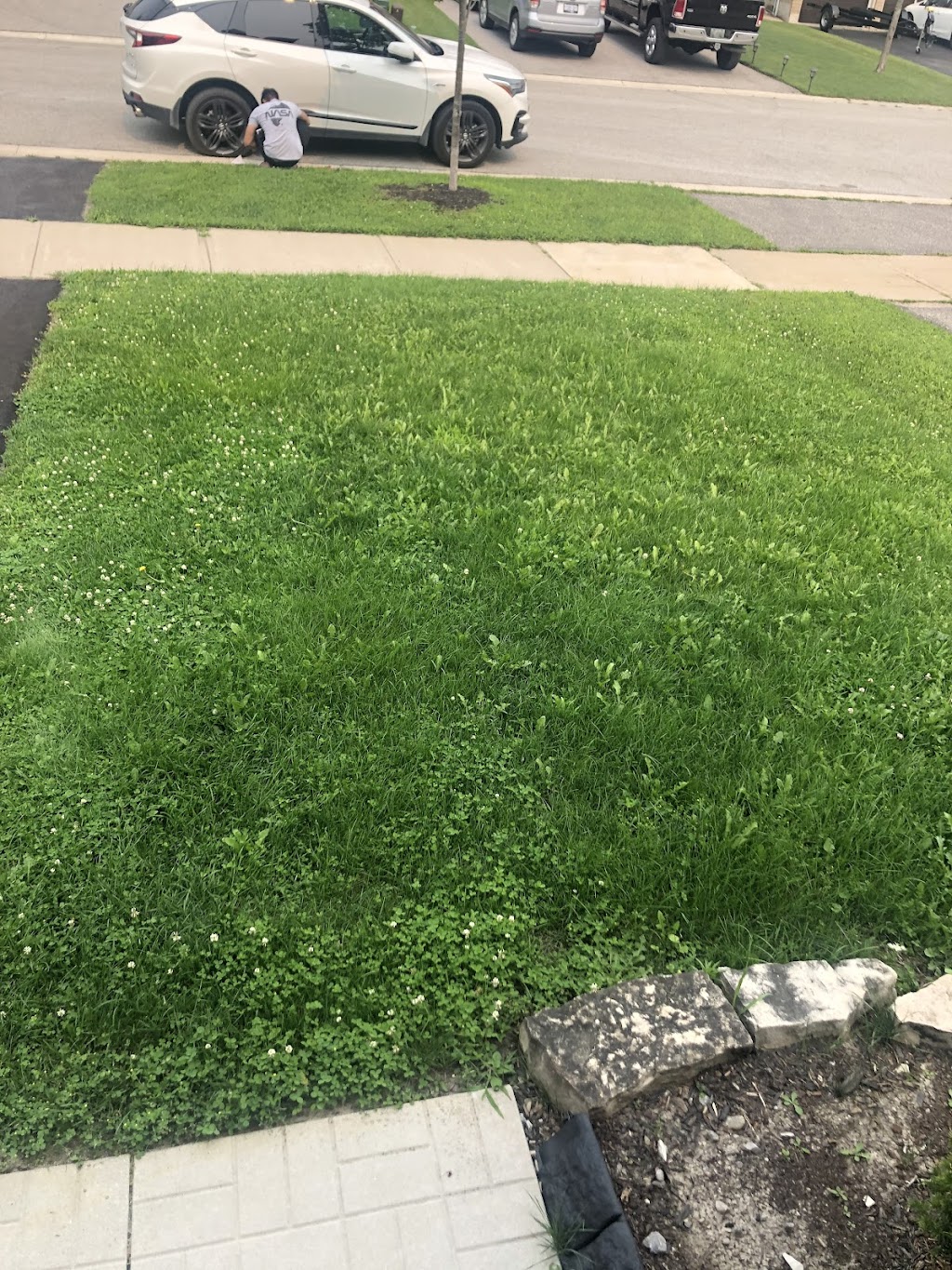 Turf Operations Scarboro | 11 Grand Marshall Dr, Scarborough, ON M1B 5N6, Canada | Phone: (416) 284-5754