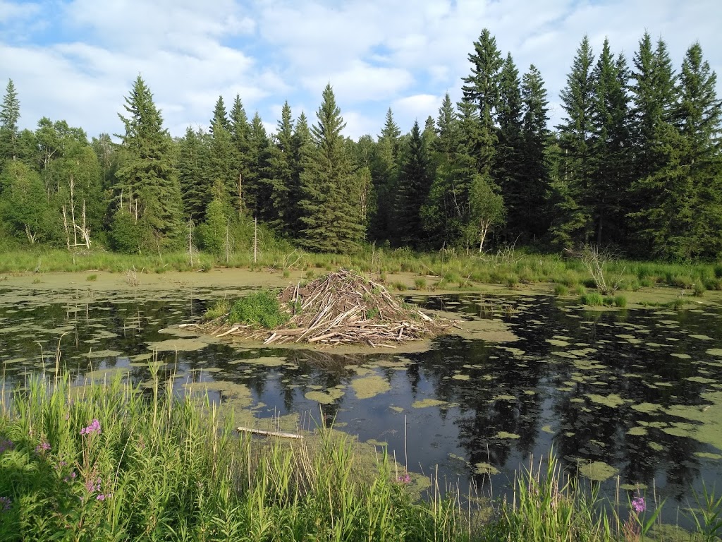 Elk Island National Park | 54401 Range Rd 203, Fort Saskatchewan, AB T8L 0V3, Canada | Phone: (780) 922-5790