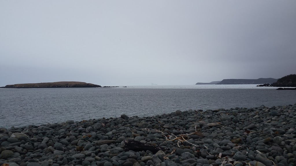 Southern Shore Shamrock Festival | Ferryland, NL A0A 1A0, Canada | Phone: (709) 432-2052