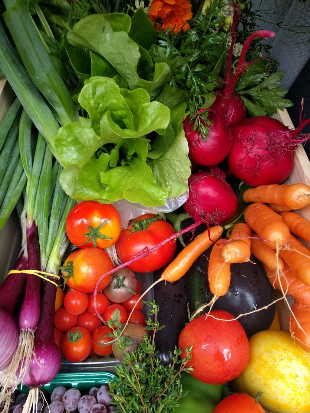 Jardins Naturador | 1000 Chemin Saint Jacques, Crabtree, QC J0K 1B0, Canada | Phone: (438) 862-3182