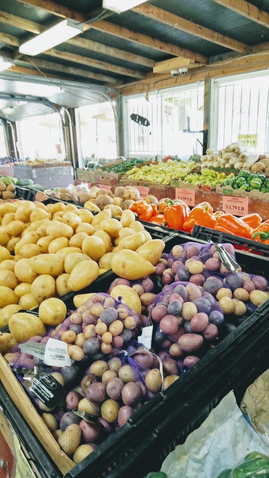 Urban Farm Market | 11900 Westminster Hwy, Richmond, BC V6X 1B3, Canada | Phone: (604) 279-8845