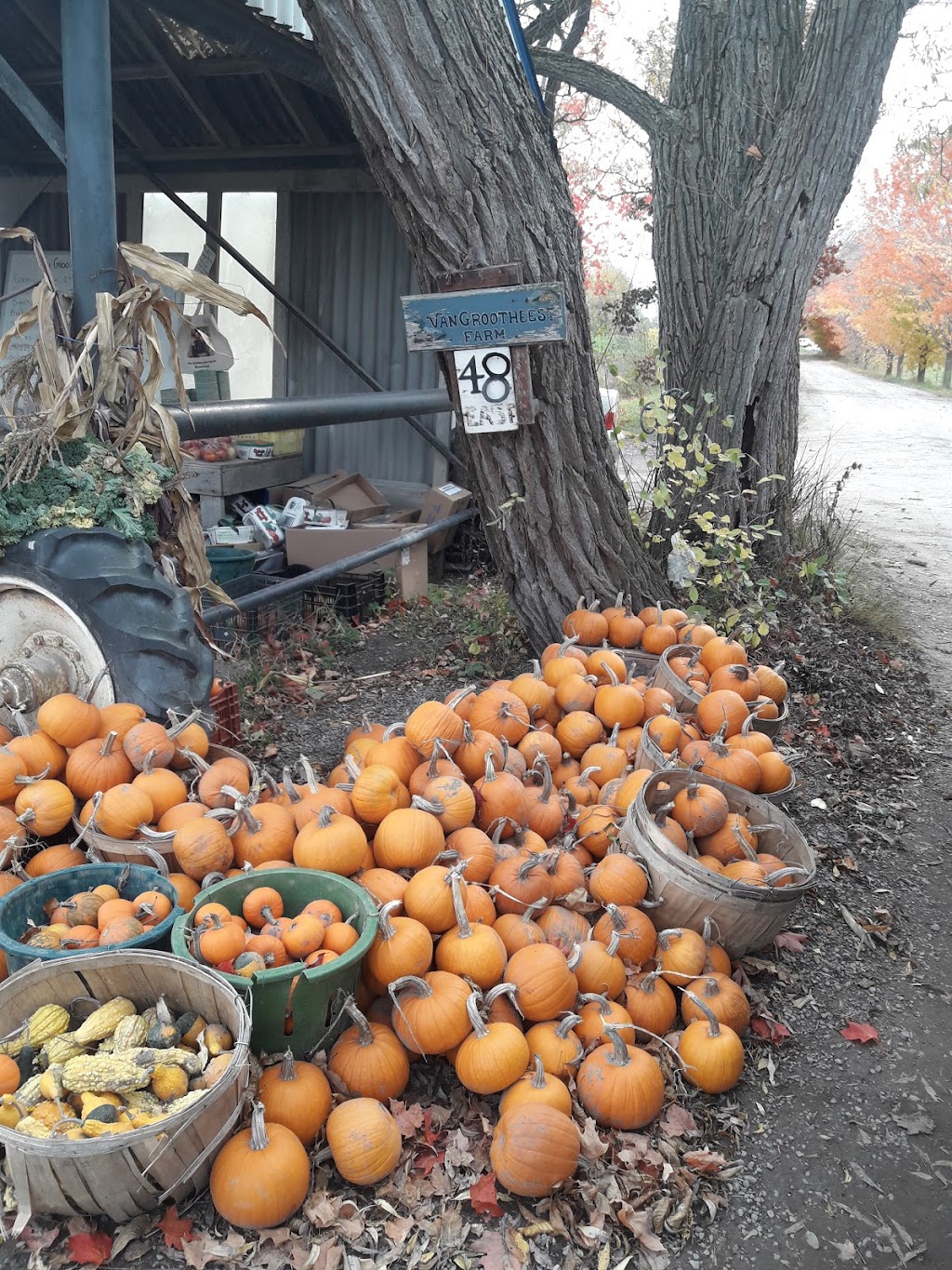 Van Grootheest Farm | 48 Stanley St, Bloomfield, ON K0K 1G0, Canada | Phone: (613) 393-2077