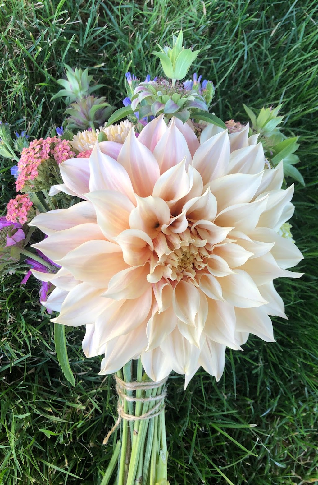 Willanna Farm: Seasonal Bouquets, Christmas Trees and more | 4062 Lefeuvre Rd, Abbotsford, BC V4X 1N8, Canada | Phone: (604) 850-4196