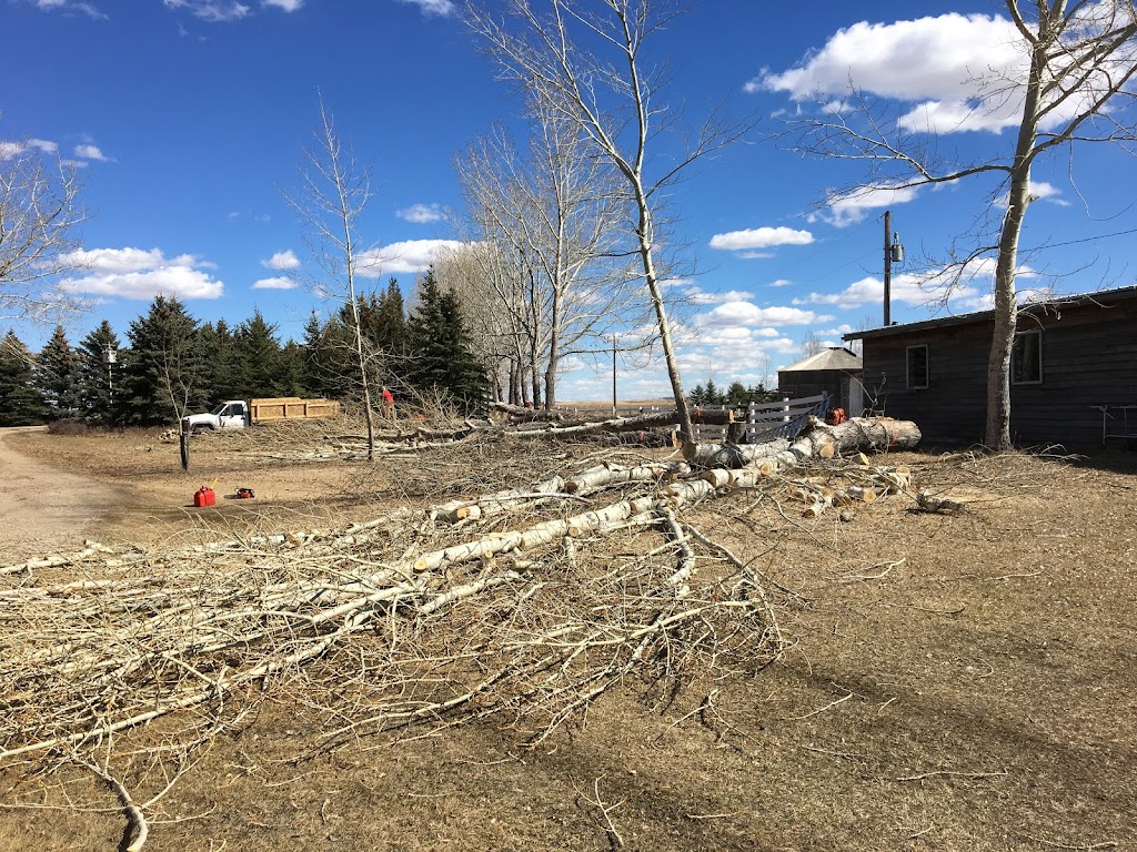Bordernorth Tree Services & Construction | 224028 Priddis Ridge Rd W, Priddis, AB T0L 1W1, Canada | Phone: (587) 216-8372