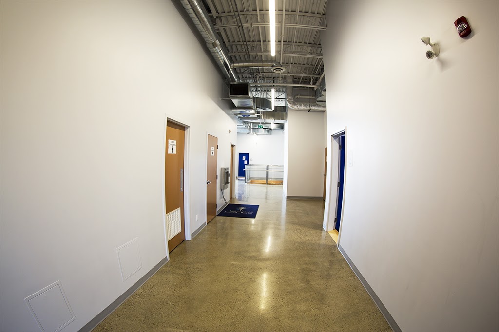 Canadian Dance Company | 2544 Bristol Cir, Oakville, ON L6H 5S1, Canada | Phone: (905) 829-4566