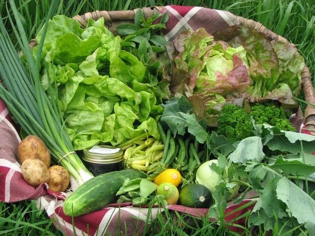 Ferme Poulin-Turcotte | 2355 Chem. Royal, Sainte-Famille, QC G0A 3P0, Canada | Phone: (418) 829-3515