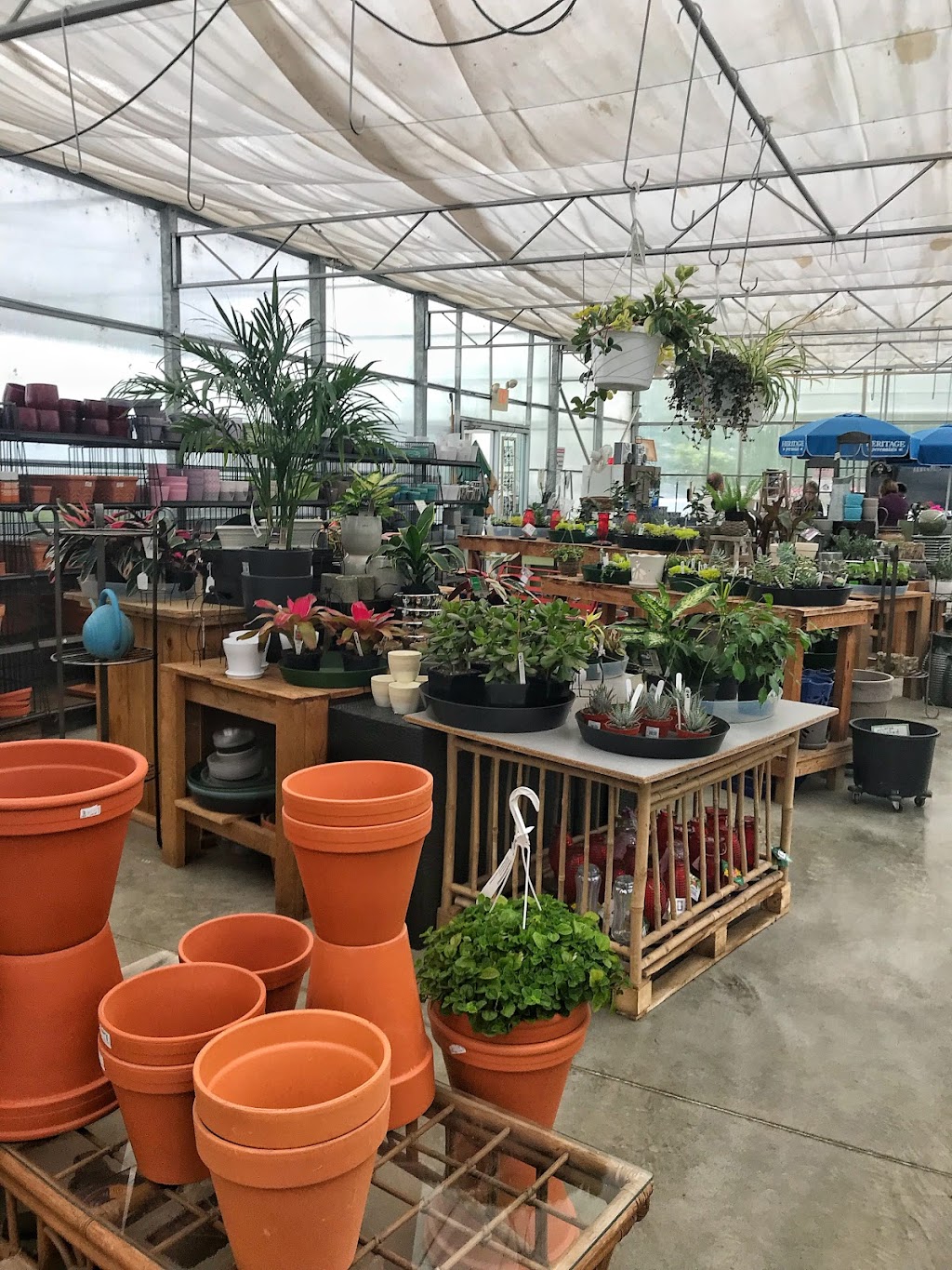 Ken-Dor Garden Centre | 845 Qualicum Rd, Qualicum Beach, BC V9K 2T6, Canada | Phone: (250) 594-1117
