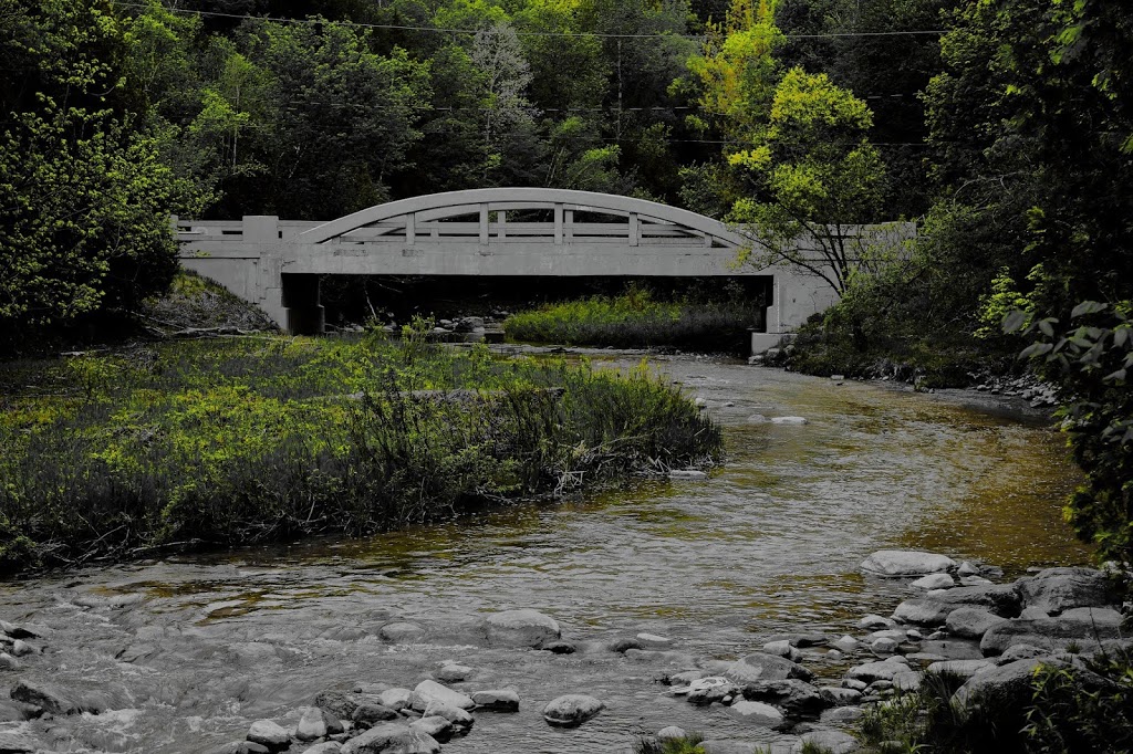 Riverside Trail | Rouge, Toronto, ON M1B, Canada