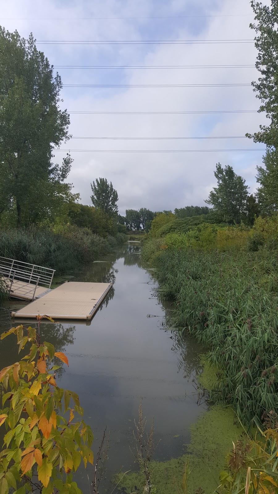 Illinois Park | Avenue Illinois, Brossard, QC J4Y, Canada