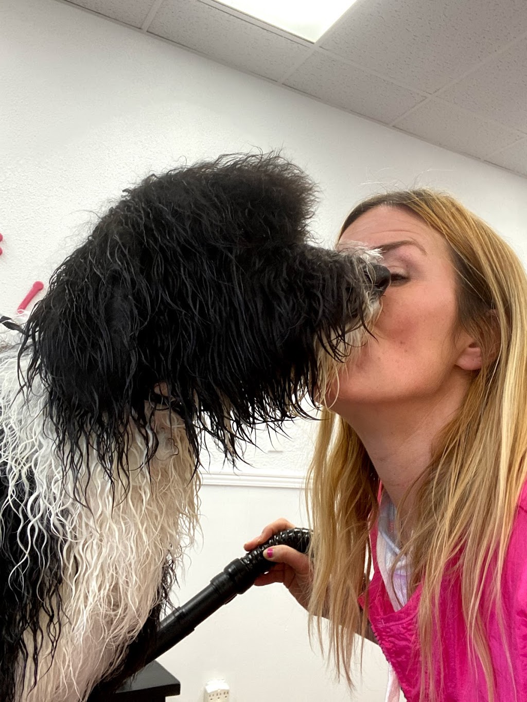 UR FUREVER GROOM | 130 Queen St E Unit #5, Brampton, ON L6V 1B1, Canada | Phone: (289) 544-6804