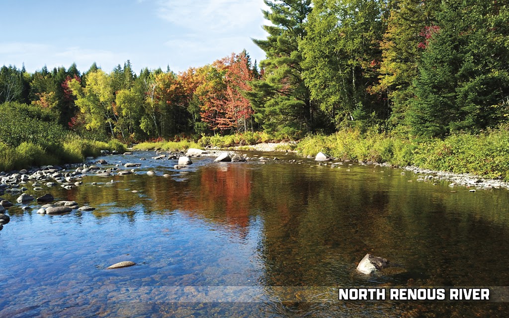 Natures Nest RV Camping | 66 Cook Ln, Blackville, NB E9B 1K4, Canada | Phone: (506) 850-2459