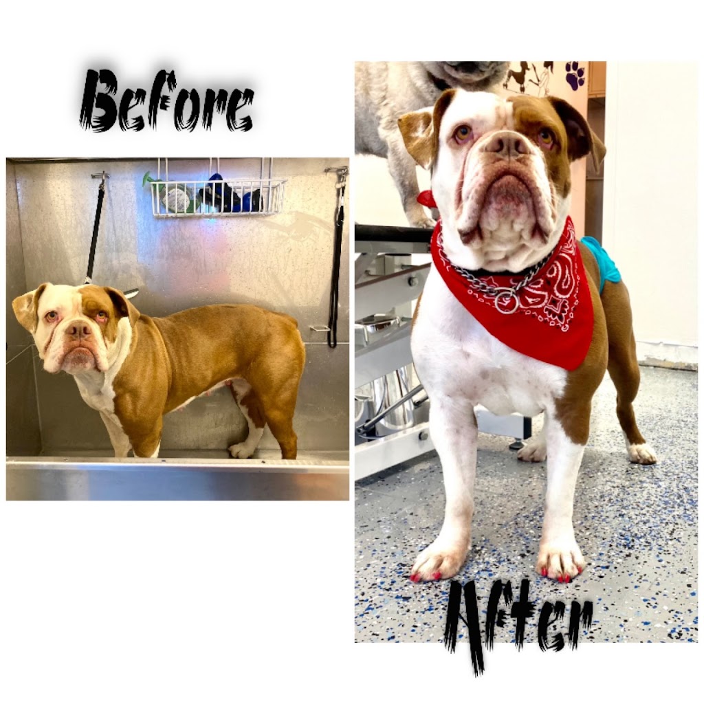 Scruffy To Fluffly by Shian | 95 Dufferin St, Perth, ON K7H 3A5, Canada | Phone: (613) 246-1145