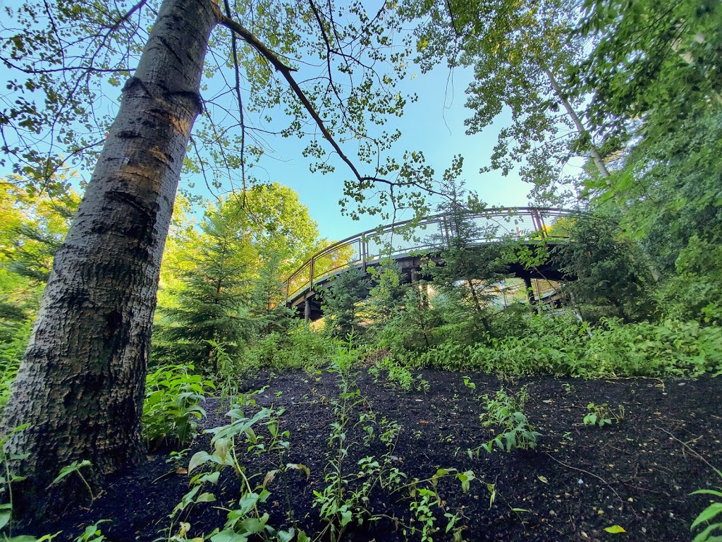 Valley Land Trail | Unnamed Road, Scarborough, ON M1C 1A4, Canada | Phone: (416) 287-8872