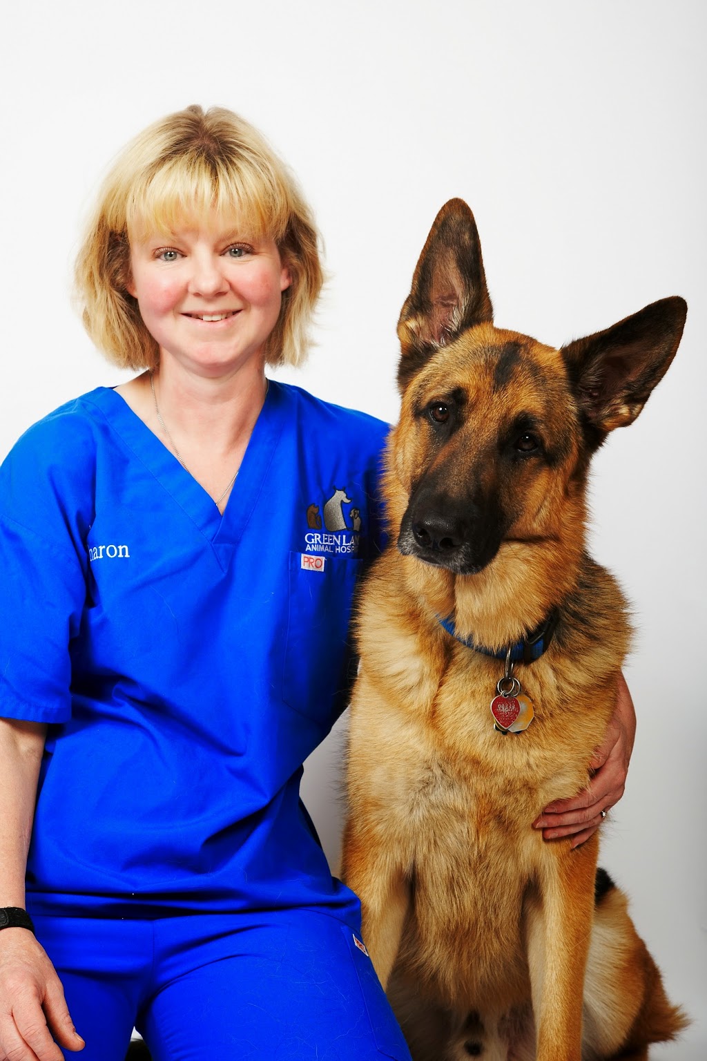 Green Lane Animal Hospital | 392 John St, Thornhill, ON L3T 5W6, Canada | Phone: (905) 597-7373