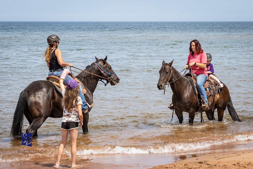 Lakeside Trail Rides | 760 Lakeside Rd, Morell, PE C0A 1S0, Canada | Phone: (902) 652-2396