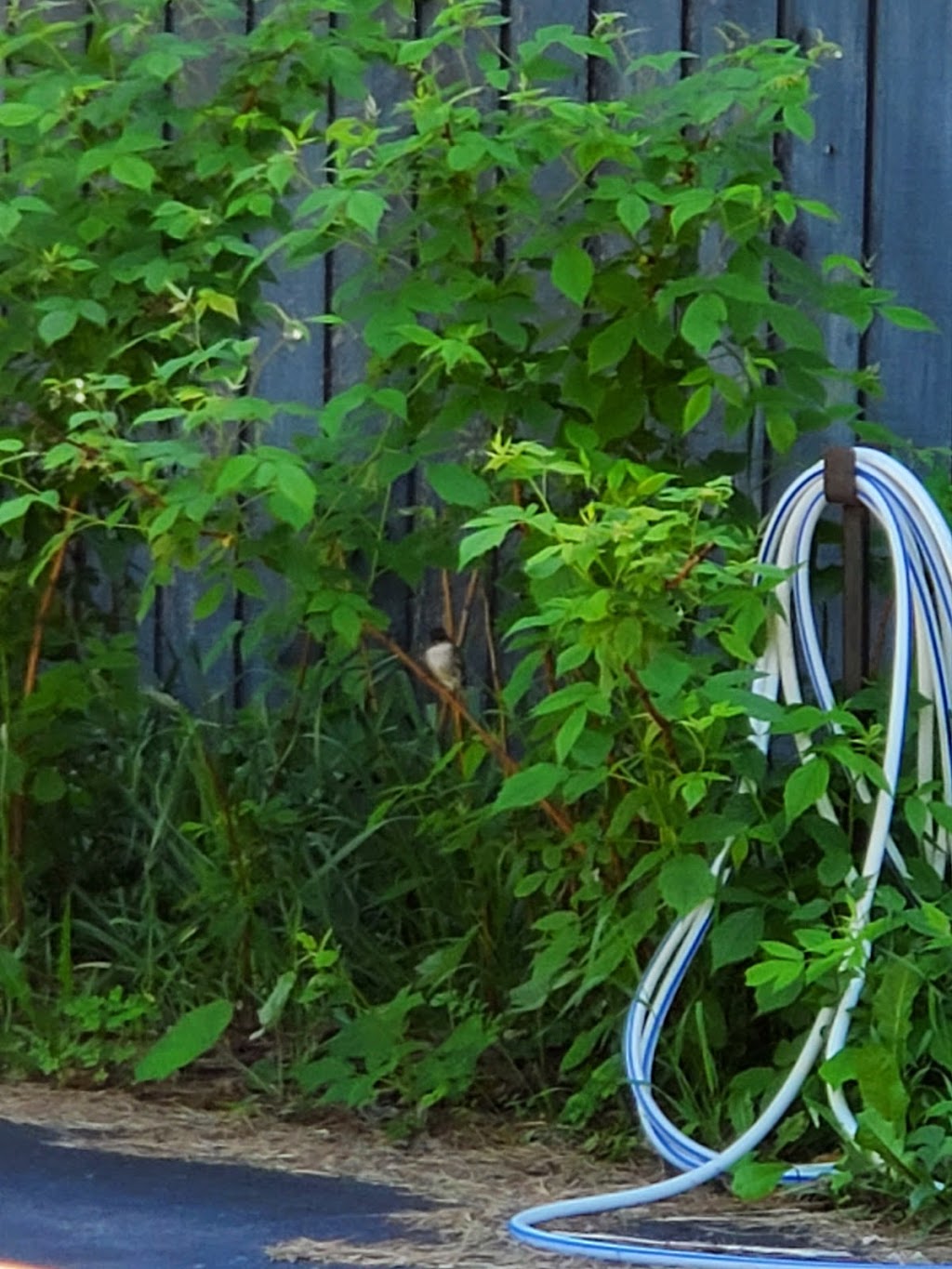 Random Acres Permaculture Farm | Random Acres Rd, Milton, ON N0B 2K0, Canada | Phone: (647) 828-5653