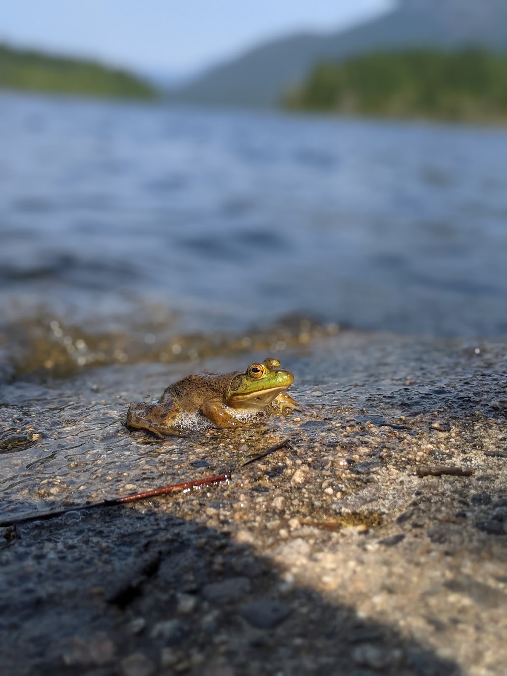 Inland Lake Provincial Park | Haslam St, British Columbia V0N 2G0, Canada | Phone: (250) 286-9992