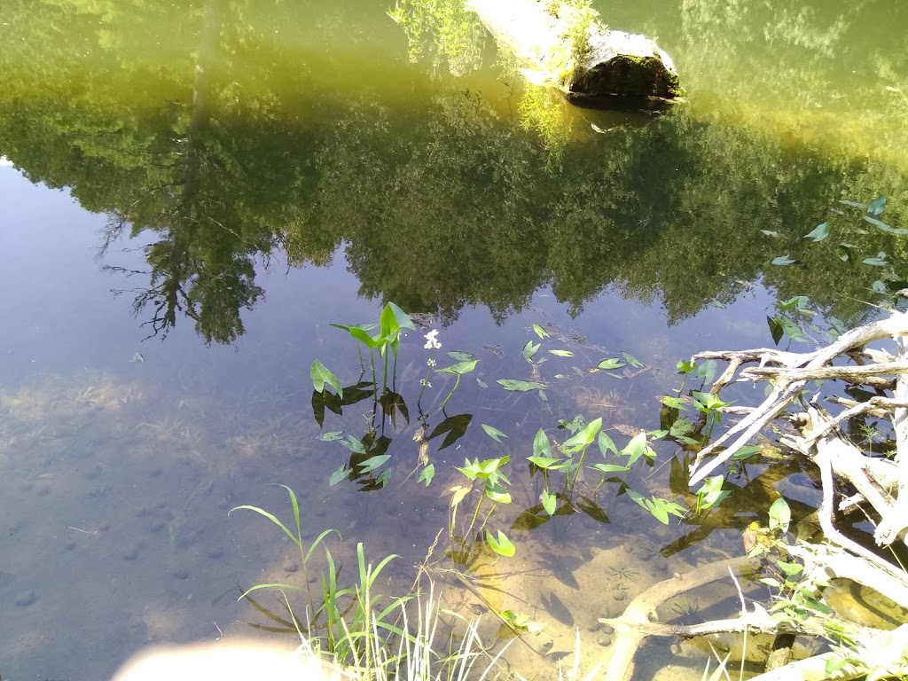 Garden Hill Conservation Area | Ganaraska Road 9, Port Hope, ON L0A 1B0, Canada | Phone: (905) 885-8173