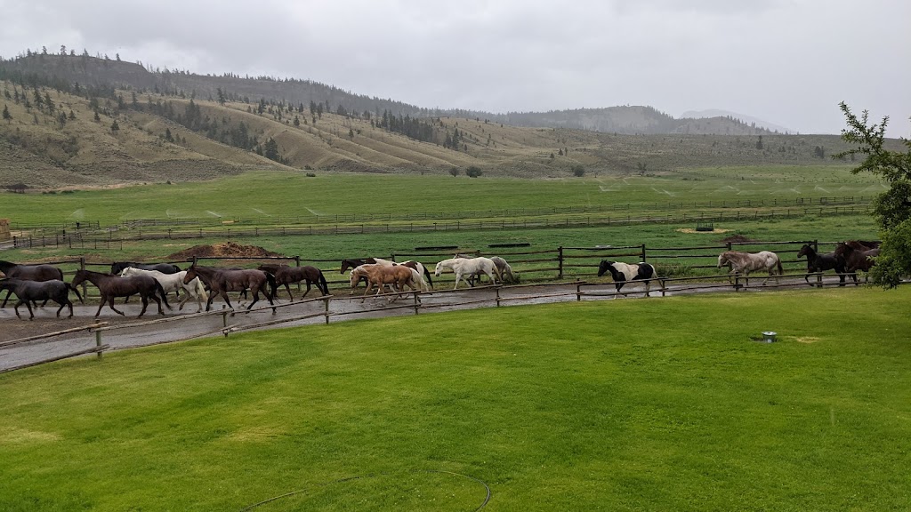 Sundance Guest Ranch | 2591 Kirkland Ranch Rd, Ashcroft, BC V0K 1A0, Canada | Phone: (250) 453-2422