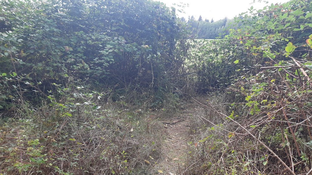 Foxxwood Park | 1023 Kingsley Crescent, Comox, BC V9M 3R7, Canada | Phone: (250) 339-2202