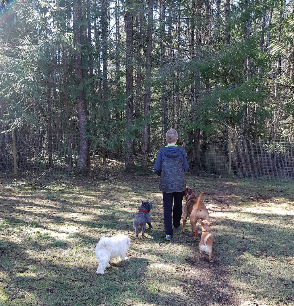 Errington Pet Lodge | 1227 Bowlby Rd, Errington, BC V0R 1V0, Canada | Phone: (250) 248-3637