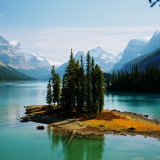 Alberta Auto Approvals | 10110 82 Ave NW, Edmonton, AB T6E 1Z4, Canada | Phone: (780) 916-8488