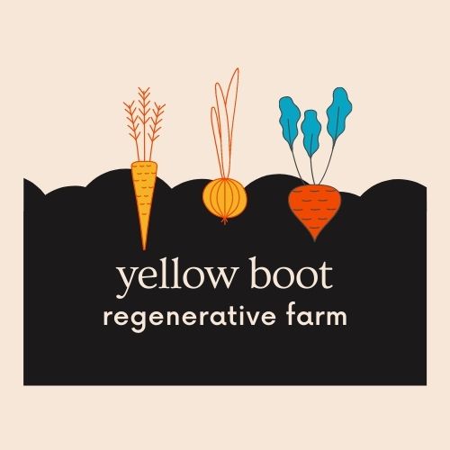 Yellow Boot Farm | 2885 Caledon Crescent, Courtenay, BC V9N 7E1, Canada | Phone: (250) 207-7080