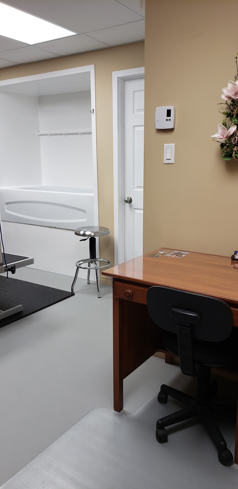 Toilettage Caro-Canin | 252 5e Rang, Saint-Ferdinand, QC G0N 1N0, Canada | Phone: (819) 362-5567