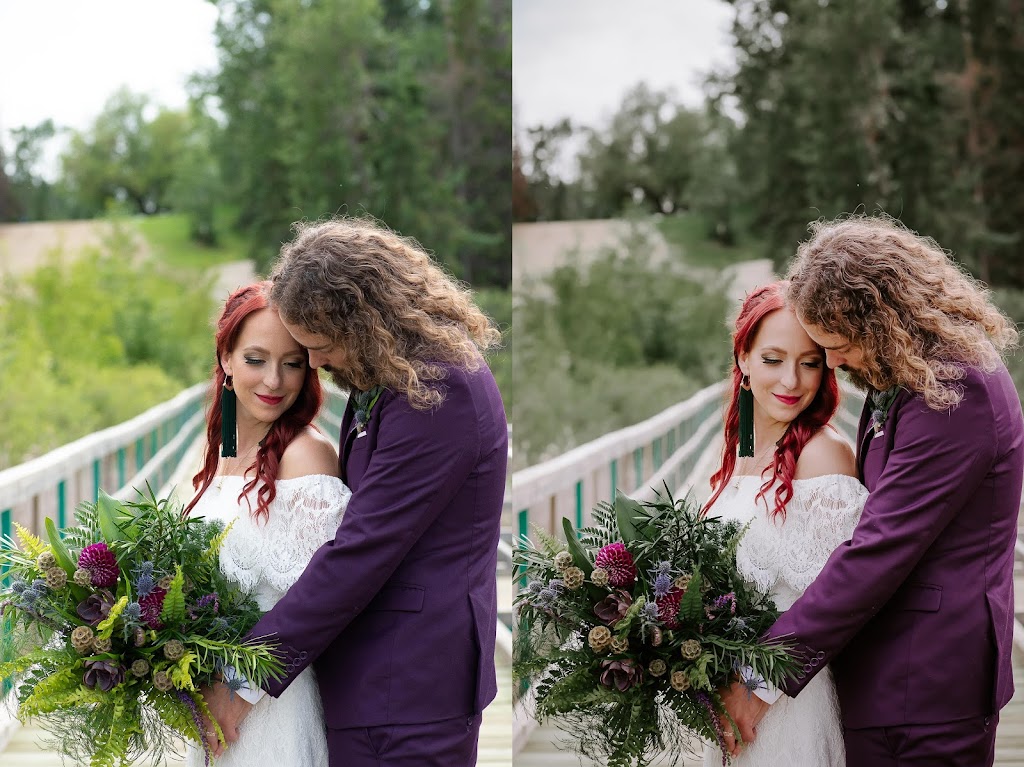 Dezaree Anderson Photography | 131 Ireland Crescent, Red Deer, AB T4R 3K6, Canada | Phone: (403) 598-2172