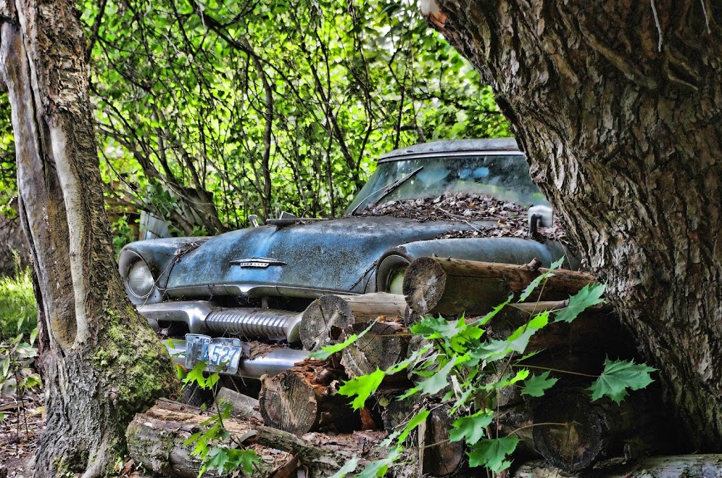 Marty Menzies - Fine Art Photography | 721 11 Ave, Keremeos, BC V0X 1N3, Canada | Phone: (250) 499-0007
