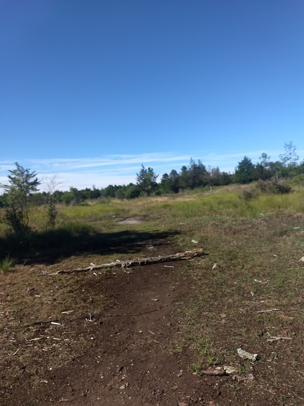 Chaumont Barrens Nature Preserve | 29924 Van Alstyne Rd, Chaumont, NY 13622, USA | Phone: (315) 387-3600