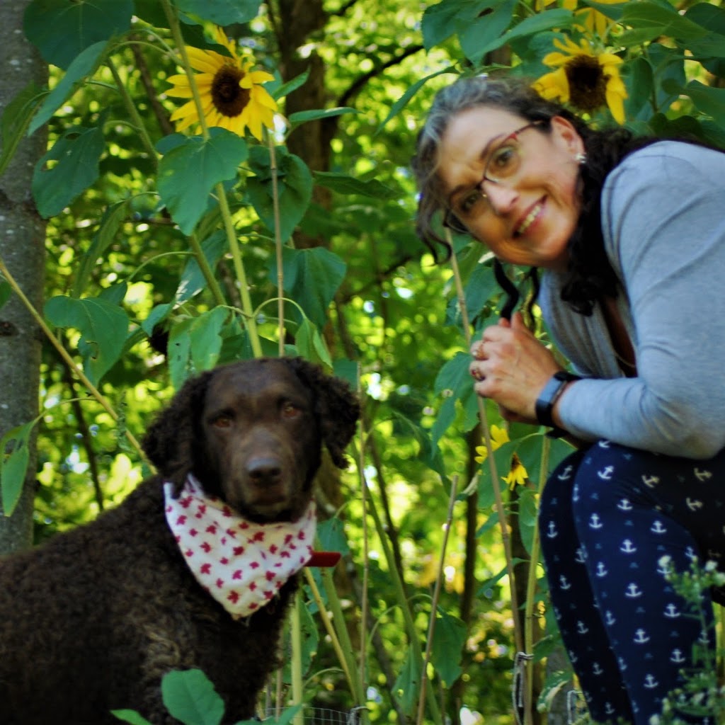 Anchor Counselling & Animal Assisted Therapy | 174108 Mulock Rd, Elmwood, ON N0G 1S0, Canada | Phone: (519) 440-9776