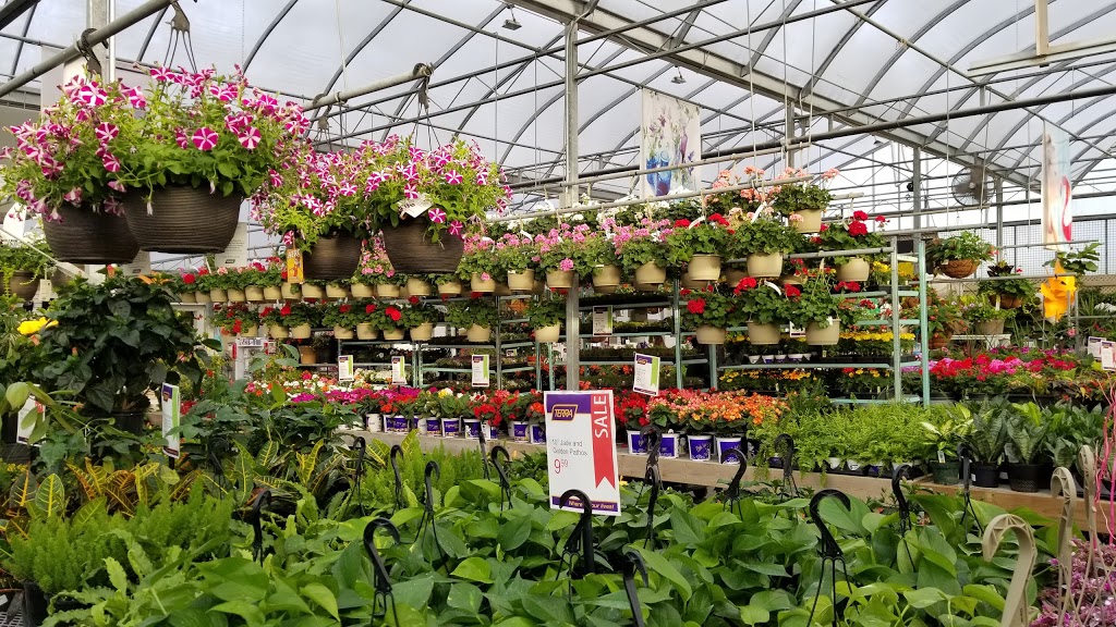 Terra Greenhouses Vaughan | store | 11800 Keele St, Maple, ON L6A 1S1, Canada | 9058326955 OR +1 905-832-6955