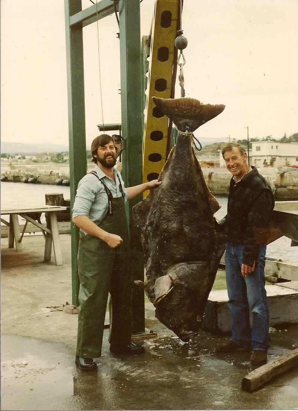 Club SeaKing Adventures / Fishing & Wildlife Tours | 10441 Resthaven Dr, Sidney, BC V8L 3H6, Canada | Phone: (250) 920-6531