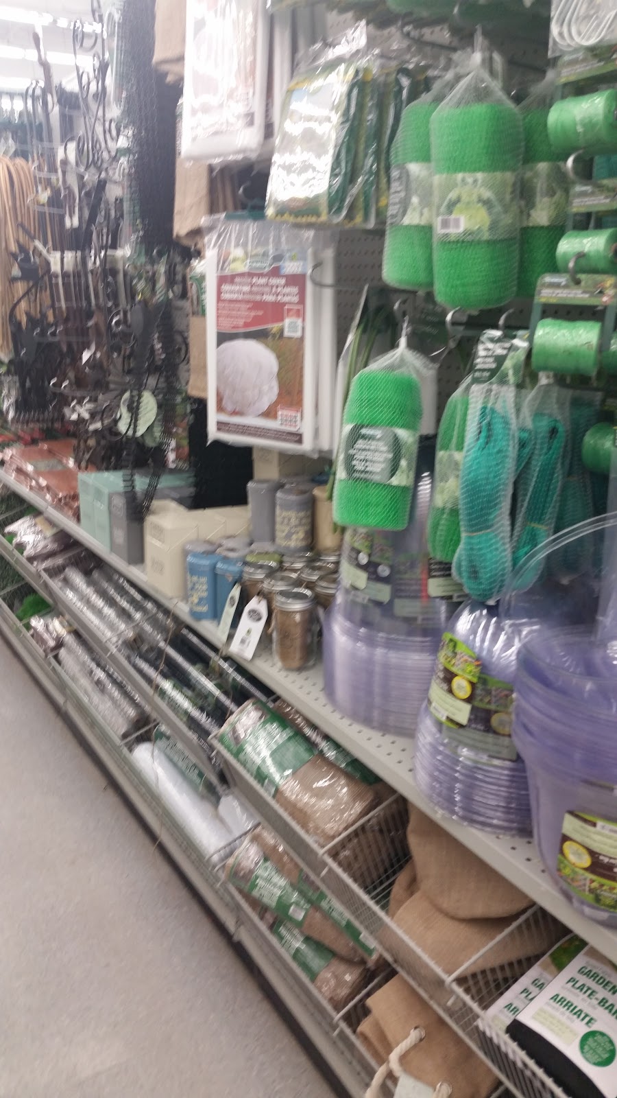 Dollarama 174 boul SaintJoseph, Carrefour Johannaes, SaintJeansur