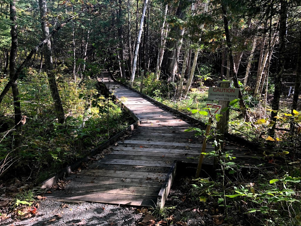 Purdon Conservation Area | Concession Rd 8, Lanark Highlands, ON K0G 1M0, Canada | Phone: (613) 253-1756
