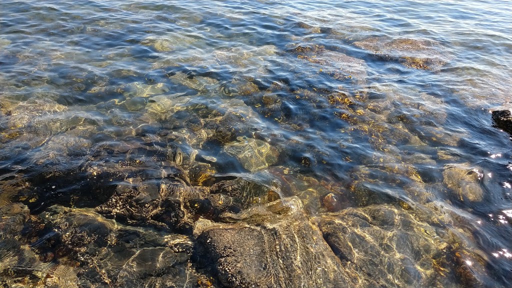 Baker Beach Park | Baker Rd, Madeira Park, BC V0N 2H1, Canada | Phone: (604) 885-6800
