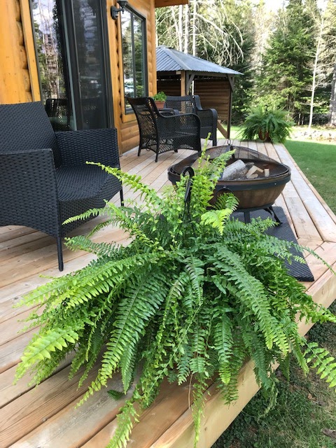Paisible Chalet | 67 Chemin Foster, Shefford, QC J2M 1A5, Canada | Phone: (514) 219-7494