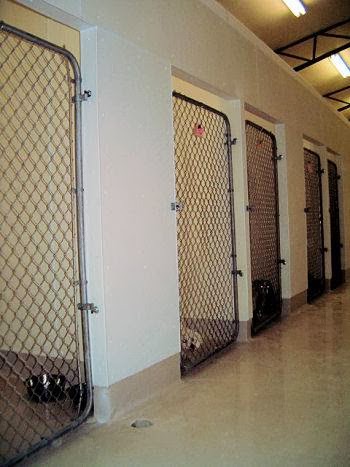 Countryside Boarding, Grooming & Doggie Daycare | 1465 Trussler Rd, Kitchener, ON N2R 1S7, Canada | Phone: (519) 696-3133
