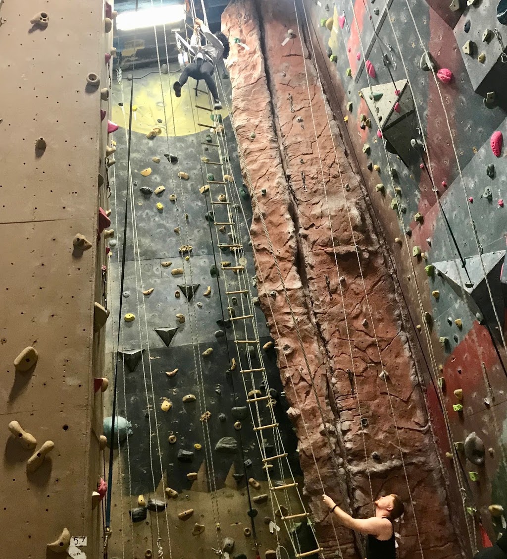 Of Rock and Chalk | 482 Ontario St, Newmarket, ON L3Y 2K7, Canada | Phone: (905) 895-7625