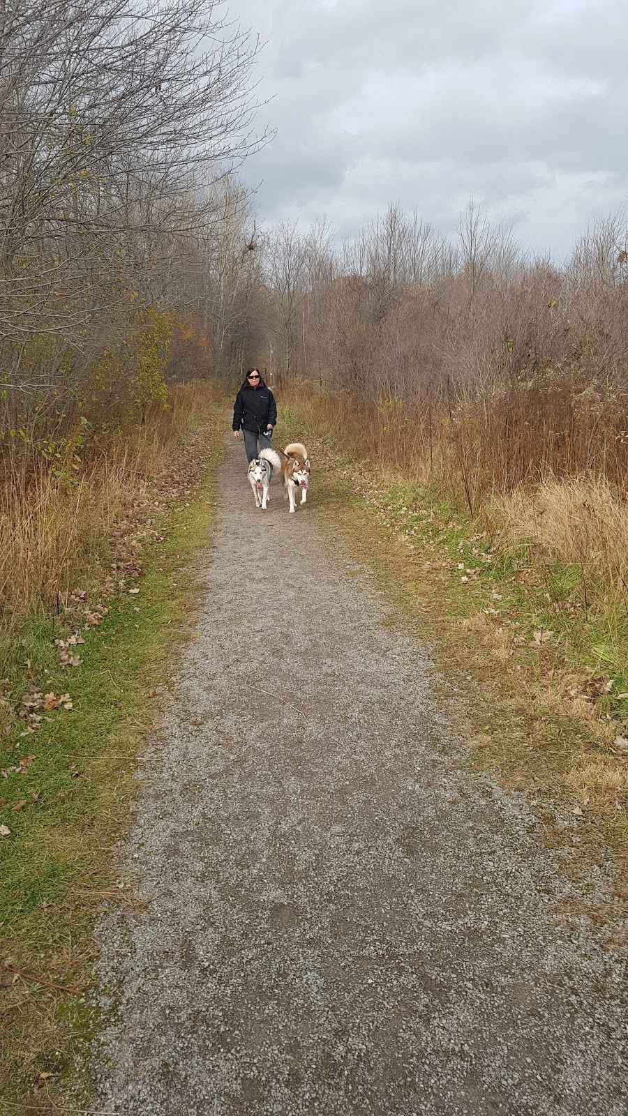 Harold S Bradshaw Memorial Park | 510-590 Chantler Rd, Welland, ON L3B 5N8, Canada
