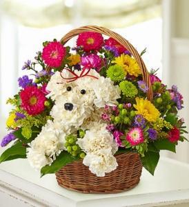 Valley Flowers | 84 Hespeler Avenue Lower, Winnipeg, MB R2L 0L3, Canada | Phone: (204) 582-2394