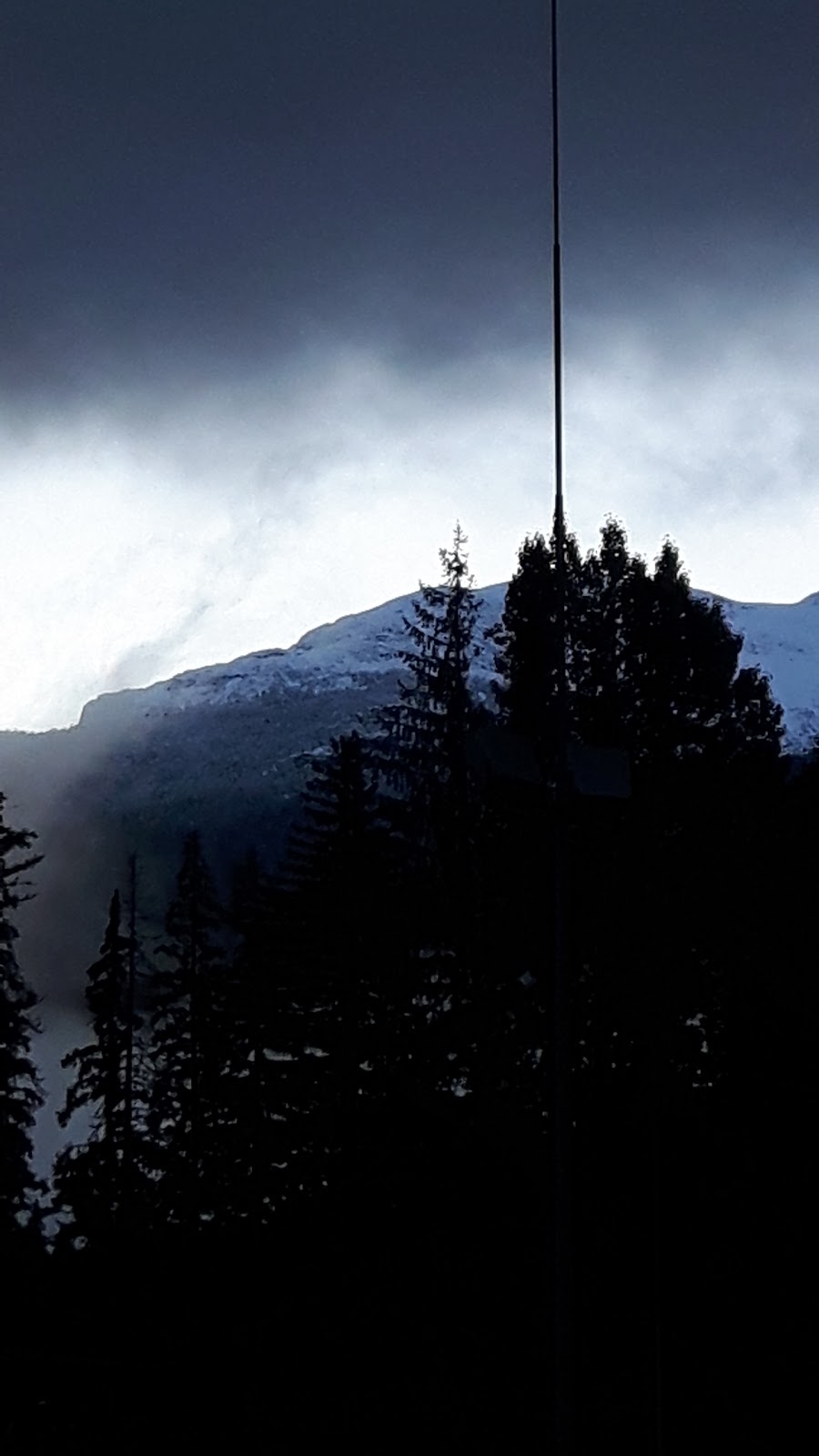 Whistler Transit Ltd | 8025 Nesters Rd, Whistler, BC V0N 1B8, Canada | Phone: (604) 938-0388