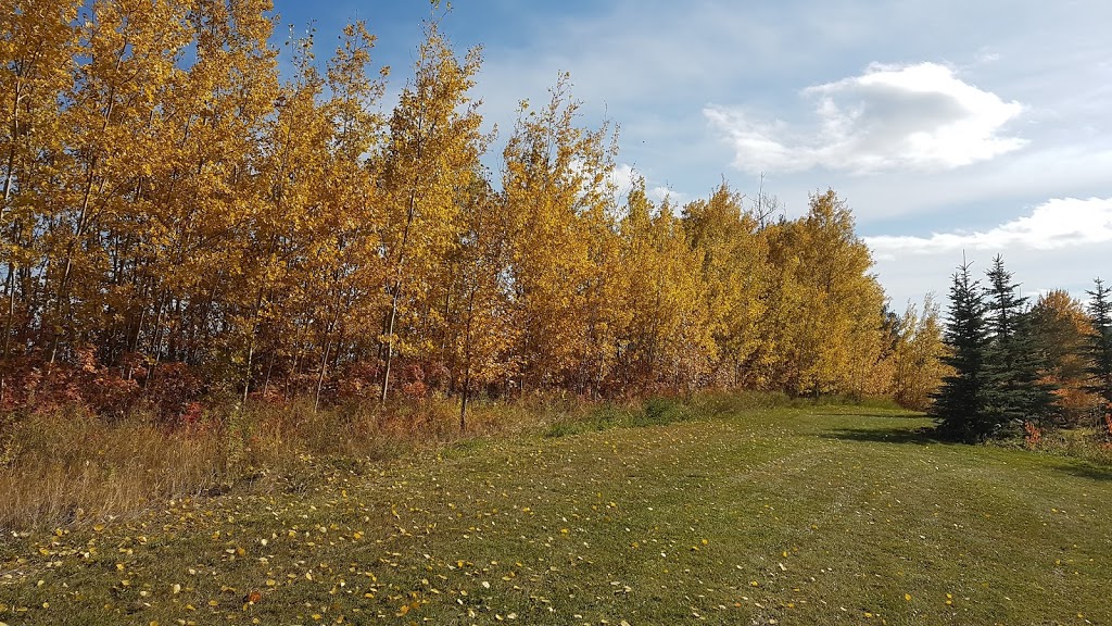 Potter Greens Pond | 1304 Potter Greens Dr NW, Edmonton, AB T5T 6A3, Canada