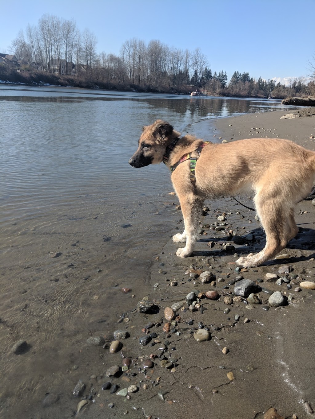 Fort Camping | 9451 Glover Rd, Langley City, BC V1M 2R9, Canada | Phone: (604) 888-3678