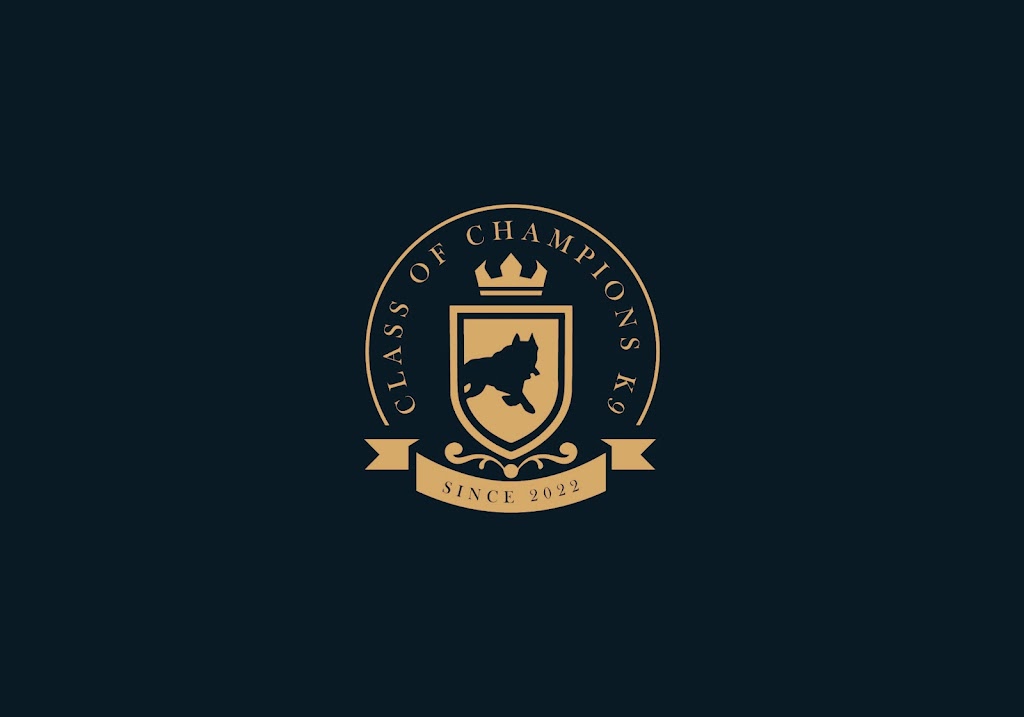 Class of Champions K9 | 16165 11th concession, Schomberg, ON L0G 1T0, Canada | Phone: (416) 833-9130