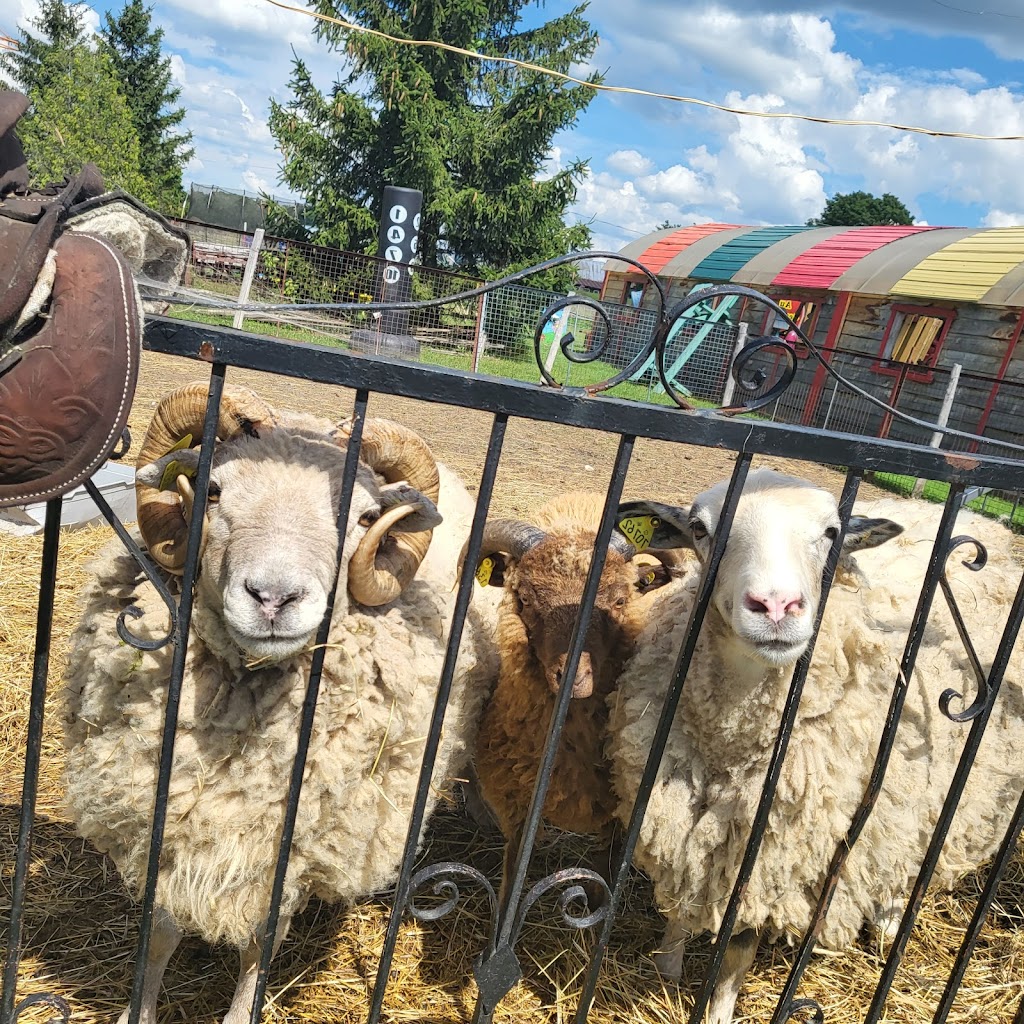 Verger de la Petite Ferme | 11388 Côte des Bouchard, Mirabel, QC J7N 2E5, Canada | Phone: (450) 258-3406
