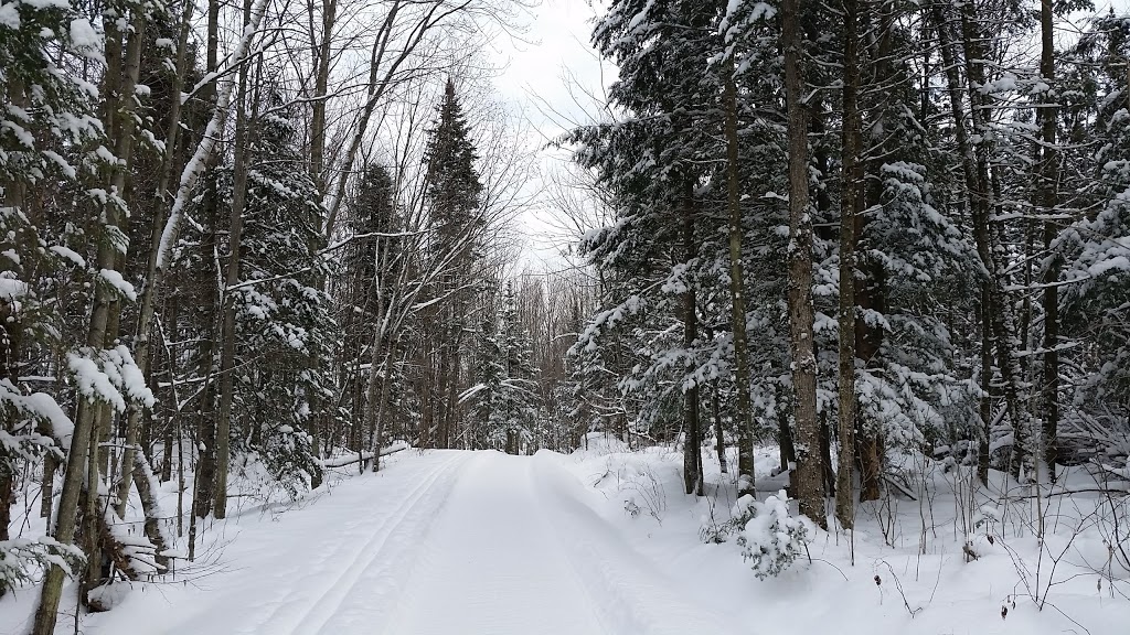 Yamaska National Park | 1780 Boulevard David Bouchard, Roxton Pond, QC J0E 1Z0, Canada | Phone: (450) 776-7182